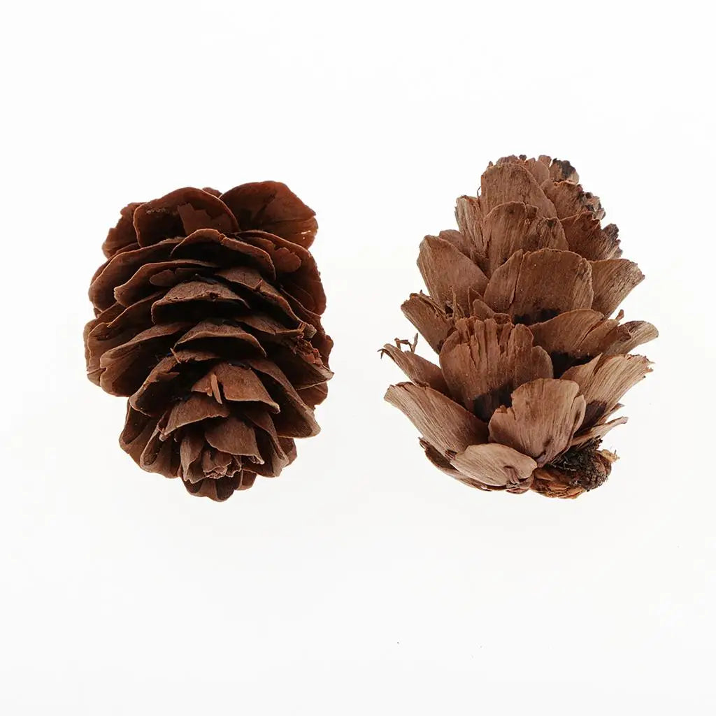 Natural Pine Cones DIY Bulk Mini Ornaments for Christmas Decorations Vase Filler and Table Accents