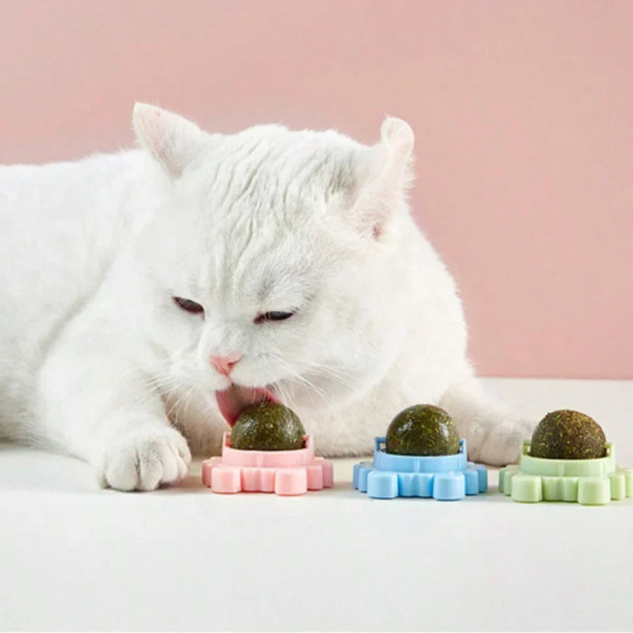 Cat Mom Mint Dental Balls
