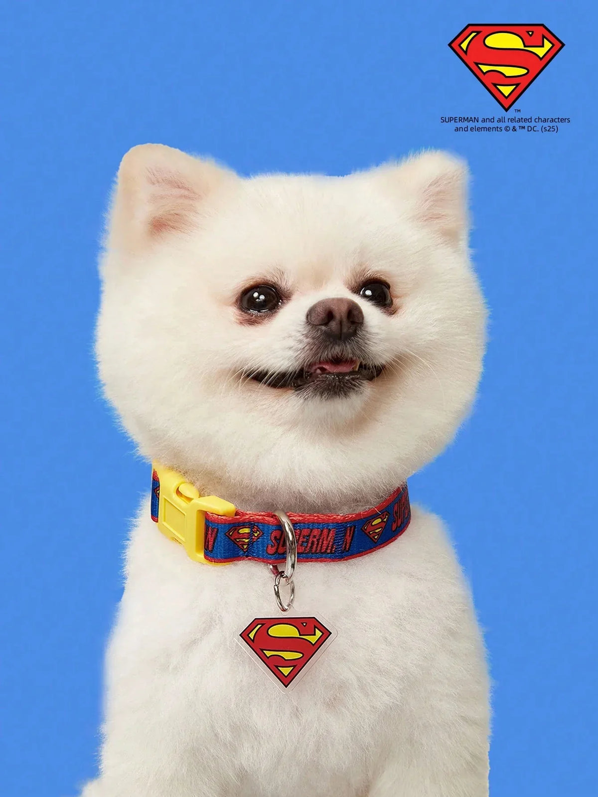 SUPERMAN PETSIN Dog Collar