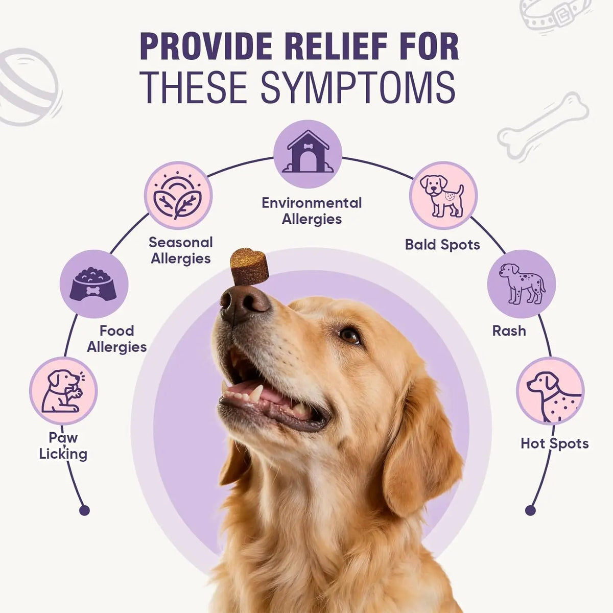 200ct Dog Allergy Chews Supplements Relief Itchy Chew Probiotics Vitamins for Skin Coat Anti Itch Immune for Dogs Paws Treatment