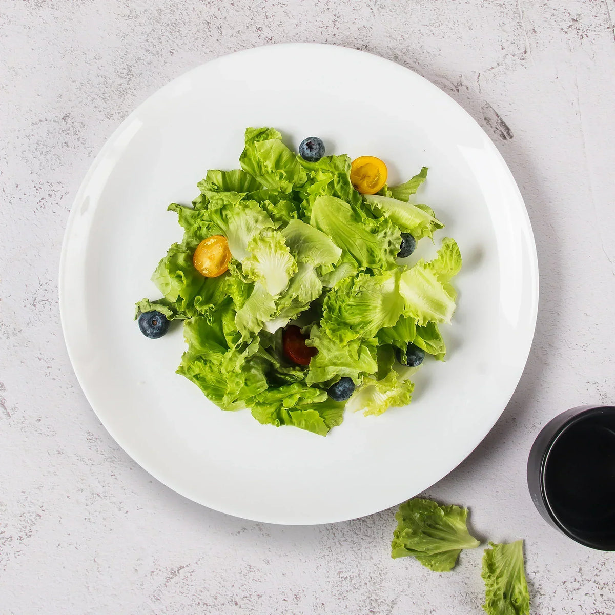 Shatterproof Glass Dinner Plates