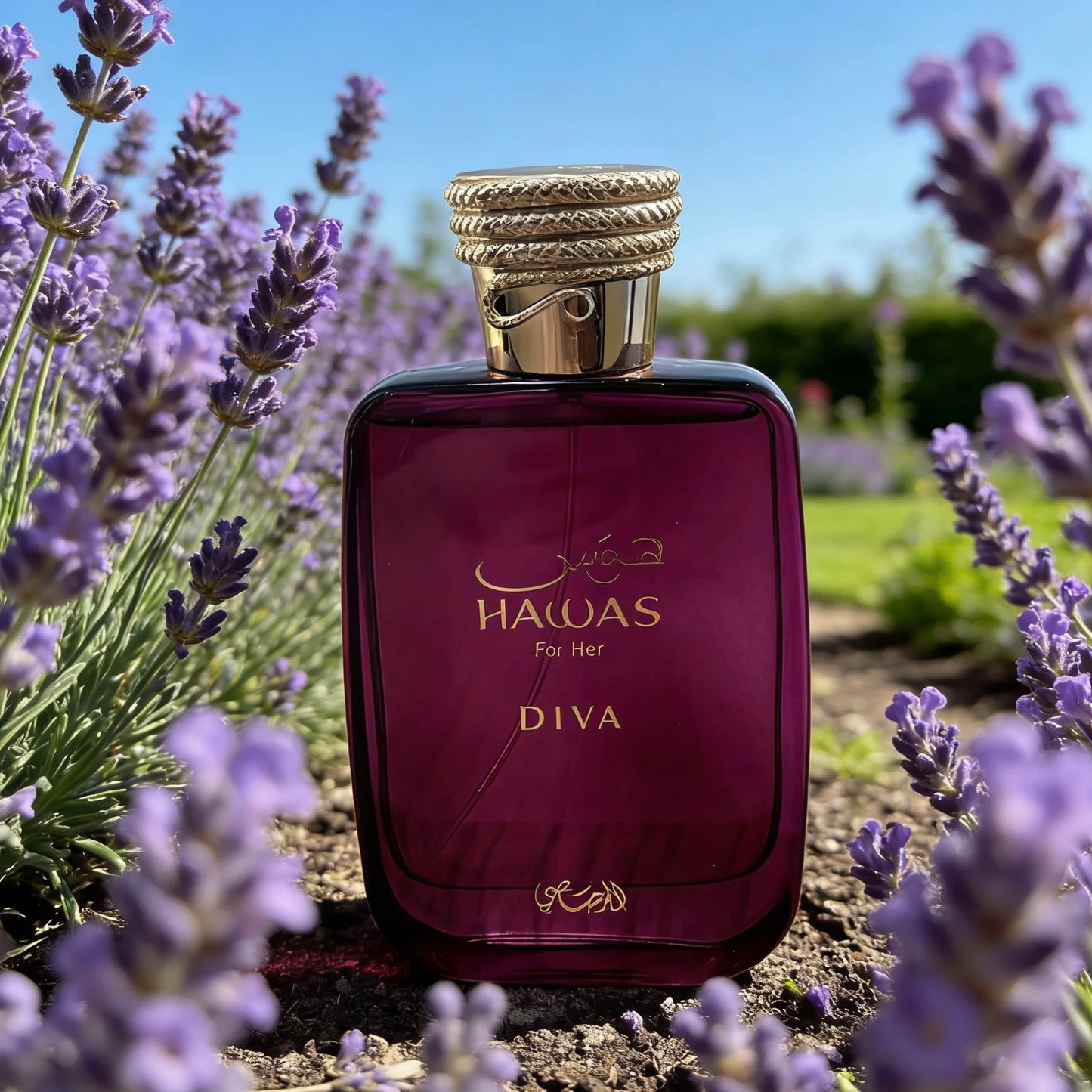Hawas Diva Eau de Parfum Spray for Women 3.4 Oz Original Arab Perfumes Lasting Floral Oriental Pheromones Cologne 100 ML