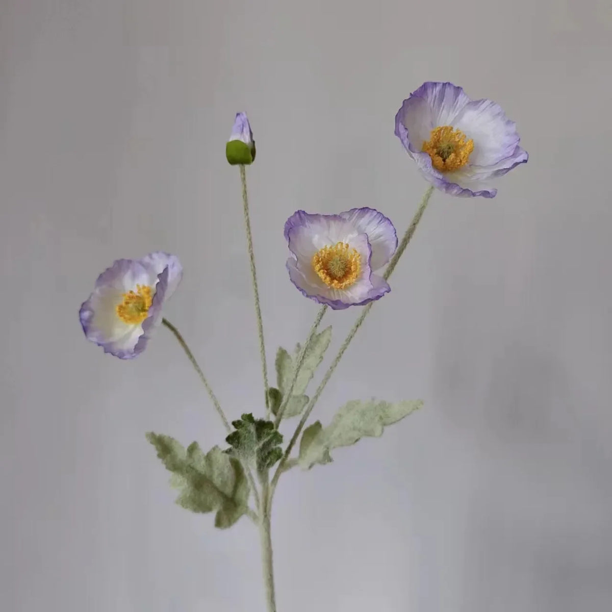Silk Poppy Flower Stem