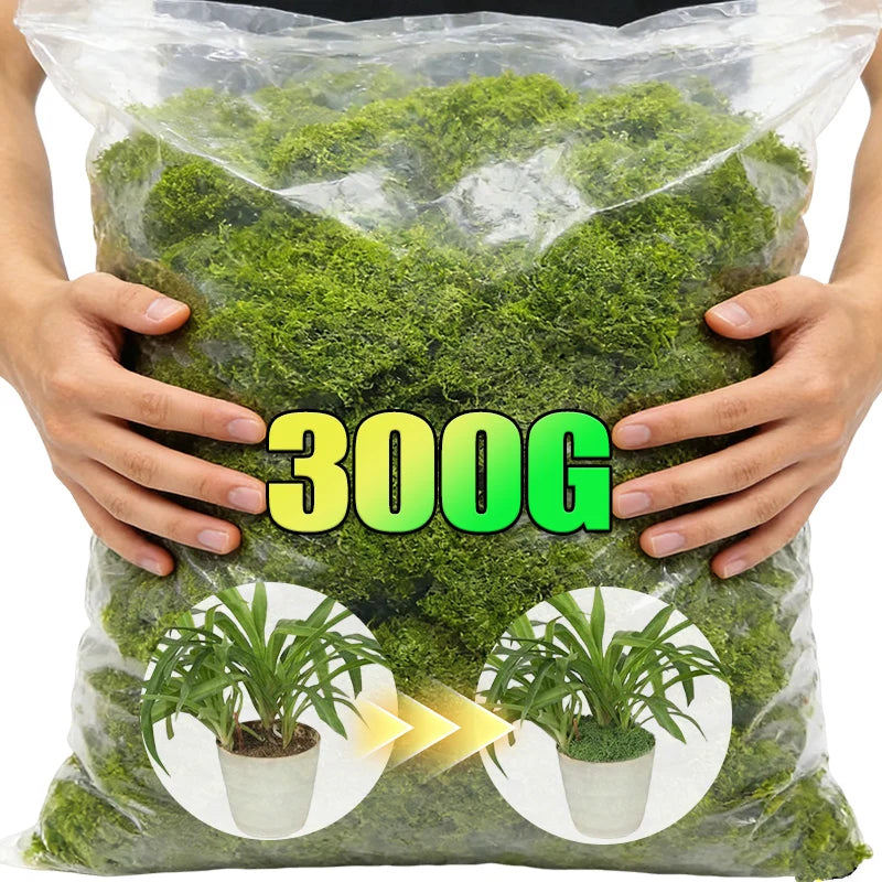 Artificial Green Plants Eternal Life Moss DIY Craft Faux Preserved Plant Moss Lawn Mini Landscape Fake Grass Plant Potting Decor