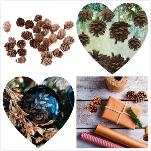 Natural Pine Cones DIY Bulk Mini Ornaments for Christmas Decorations Vase Filler and Table Accents