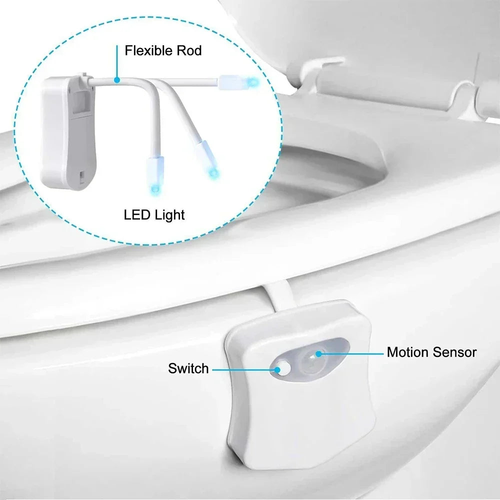 Motion Sensor LED Night Light