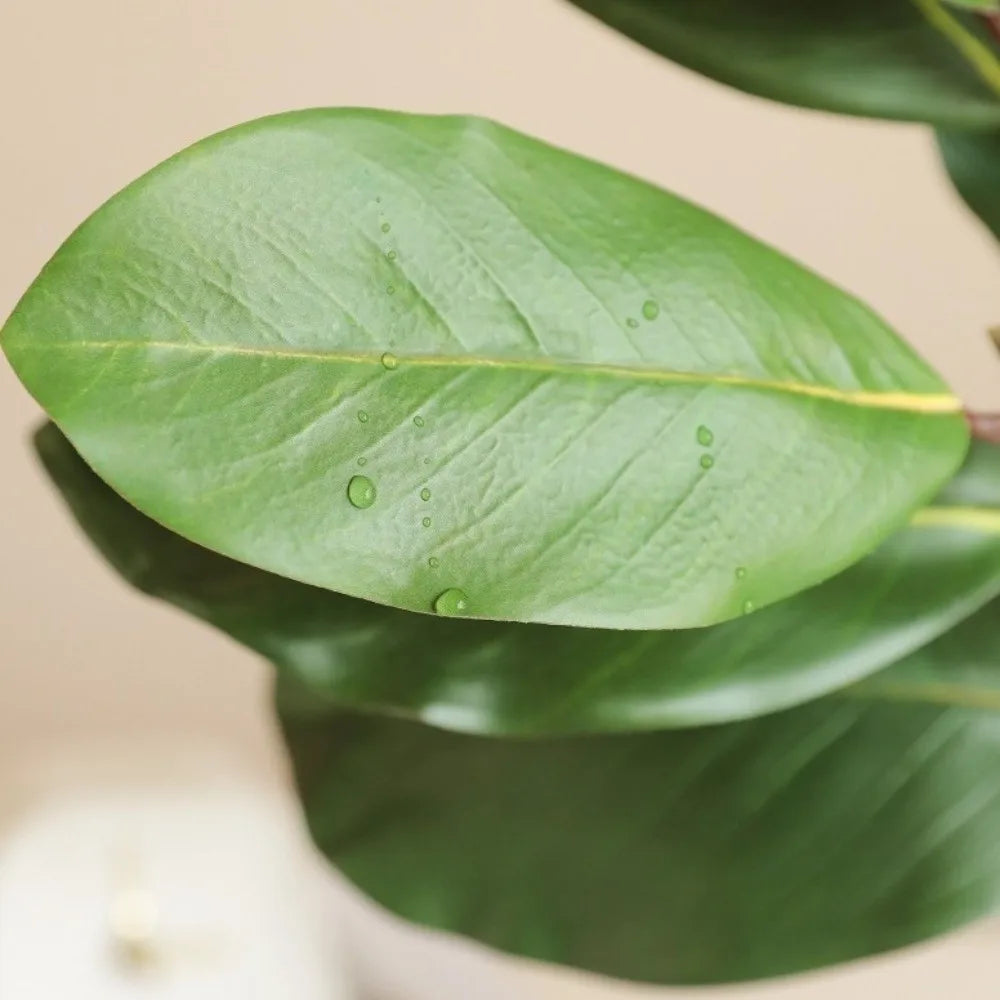 57cm Artificial Magnolia Leaves Rubber Plants Leaves Simulated Plant Branch DIY Floral Arrangement Faux Plants Home Decoration