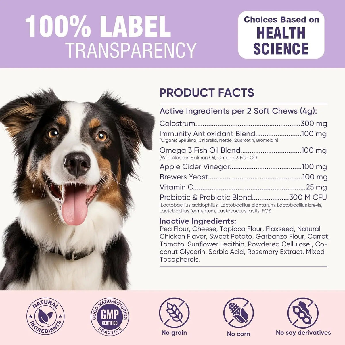 200ct Dog Allergy Chews Supplements Relief Itchy Chew Probiotics Vitamins for Skin Coat Anti Itch Immune for Dogs Paws Treatment