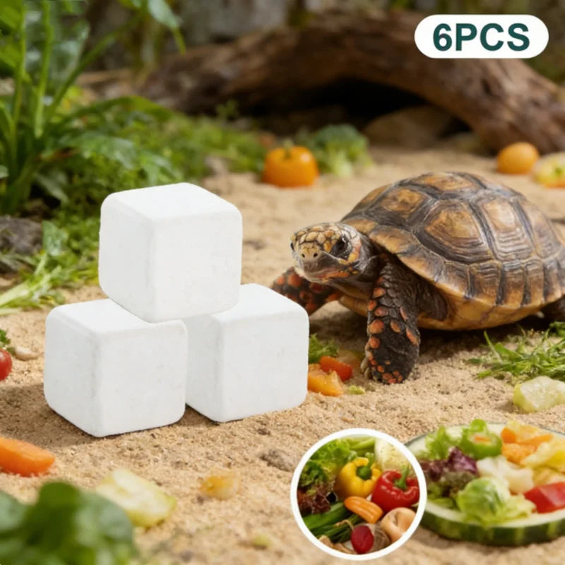 HUA HUA Turtle Calcium Mineral Blocks - Slow Release Aquatic Supplements for Shell & Bone Health, Vitamin Deficiency Prevention