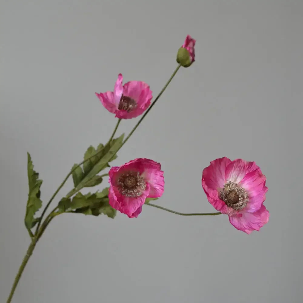 Silk Poppy Flower Stem