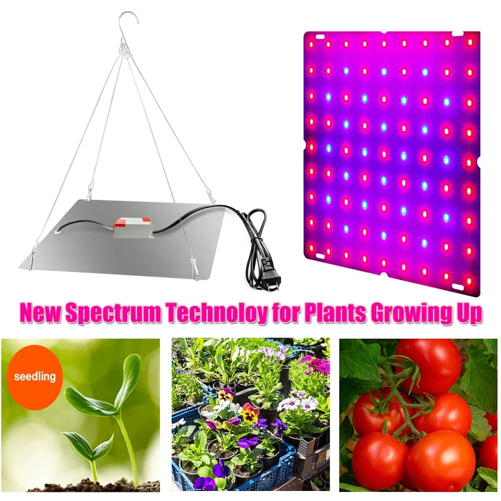 Full Spectrum LED Plant Lamp Quantum Board Hydroponic Plant Grow Lights Greenhouse Indoor Vegetables Floral Cultivation Lighting