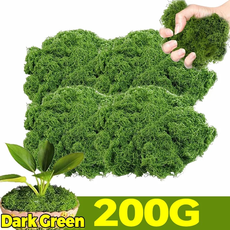 Artificial Green Plants Eternal Life Moss DIY Craft Faux Preserved Plant Moss Lawn Mini Landscape Fake Grass Plant Potting Decor
