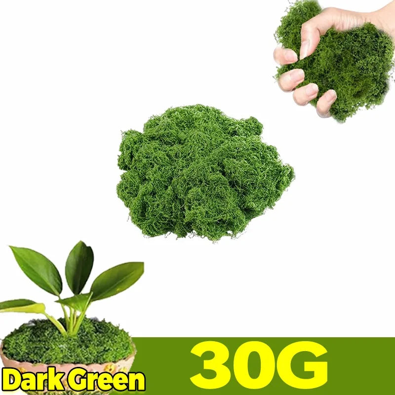Artificial Green Plants Eternal Life Moss DIY Craft Faux Preserved Plant Moss Lawn Mini Landscape Fake Grass Plant Potting Decor