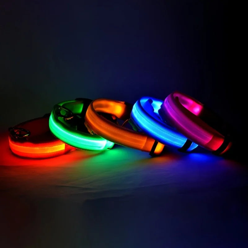 LED Glow Dog Safety Leash