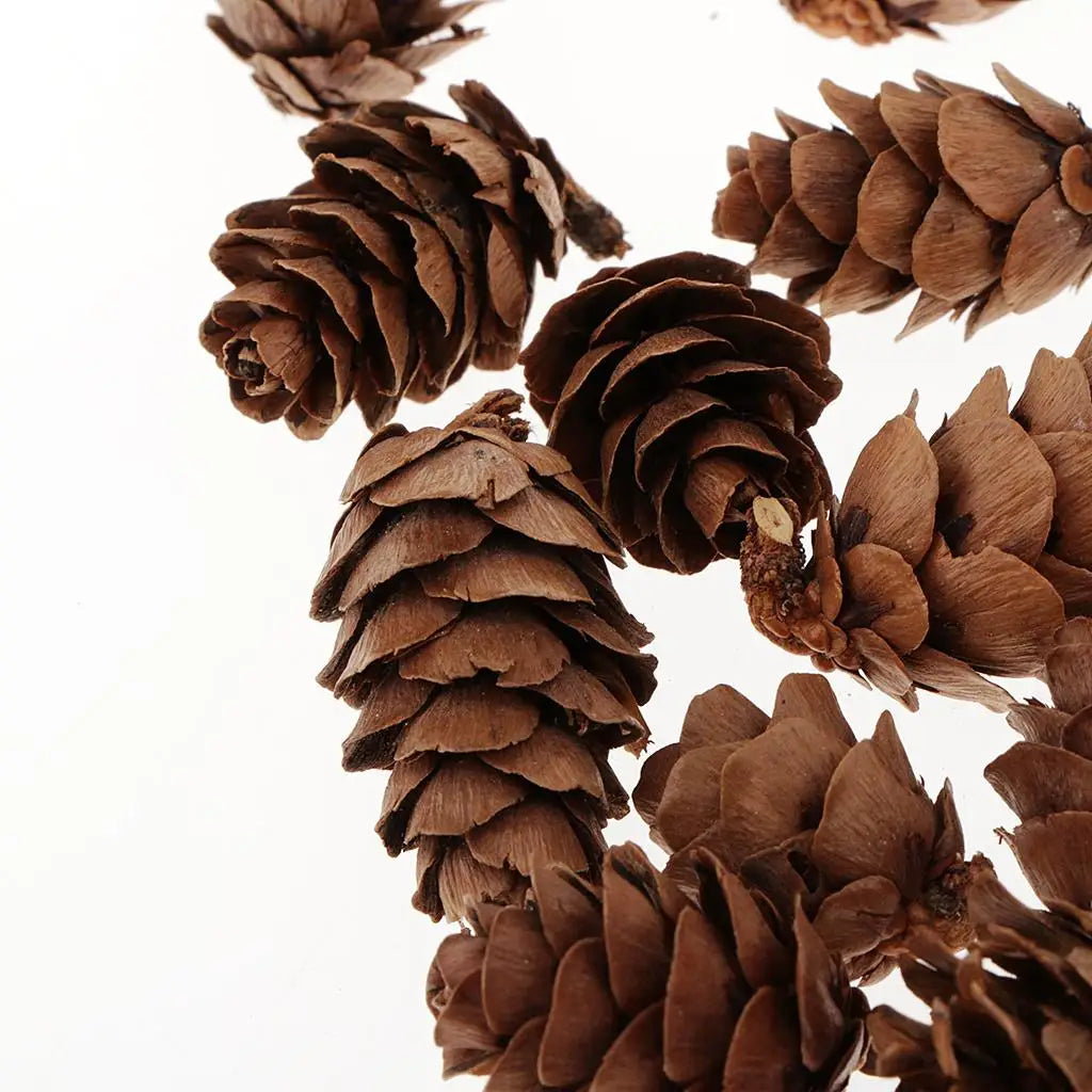Natural Pine Cones DIY Bulk Mini Ornaments for Christmas Decorations Vase Filler and Table Accents