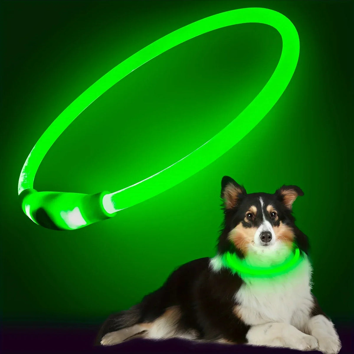 LED Luminous Dog Safety Collar