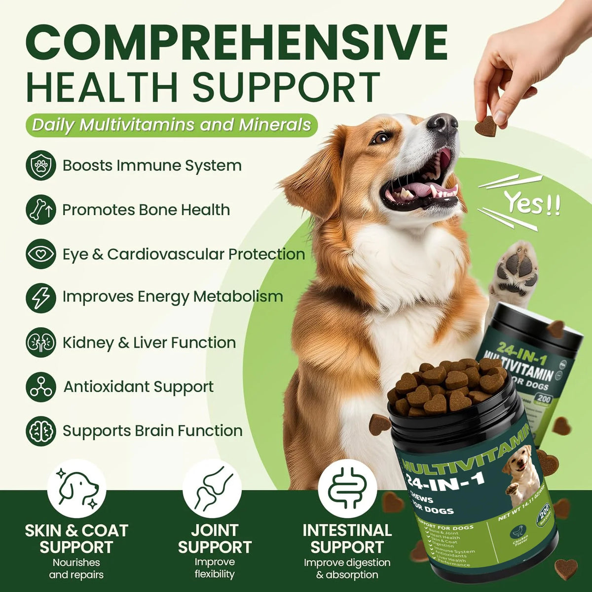 24-in-1 Dog Multivitamins Chew 200 Count Dog Vitamins Supplements with Glucosamine Chondroitin Probioticos Intestinales Omega-3