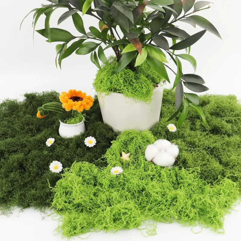 Artificial Green Plants Eternal Life Moss DIY Craft Faux Preserved Plant Moss Lawn Mini Landscape Fake Grass Plant Potting Decor