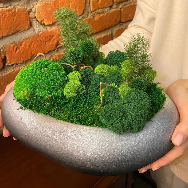 Artificial Green Plants Eternal Life Moss DIY Craft Faux Preserved Plant Moss Lawn Mini Landscape Fake Grass Plant Potting Decor