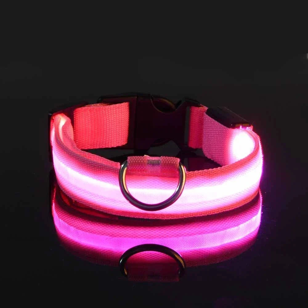 LED Glow Dog Safety Leash