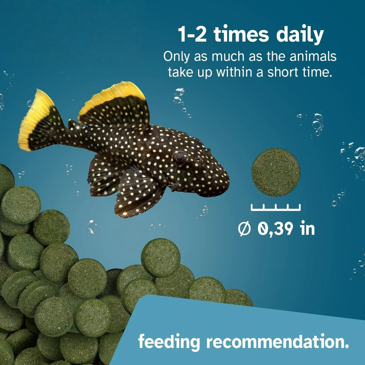 High Purity Spirulina Tablets Spiral Seaweed Enrichment Favorite Pets Food Fish Crystal Red Shrimp Fish Food Aquarium