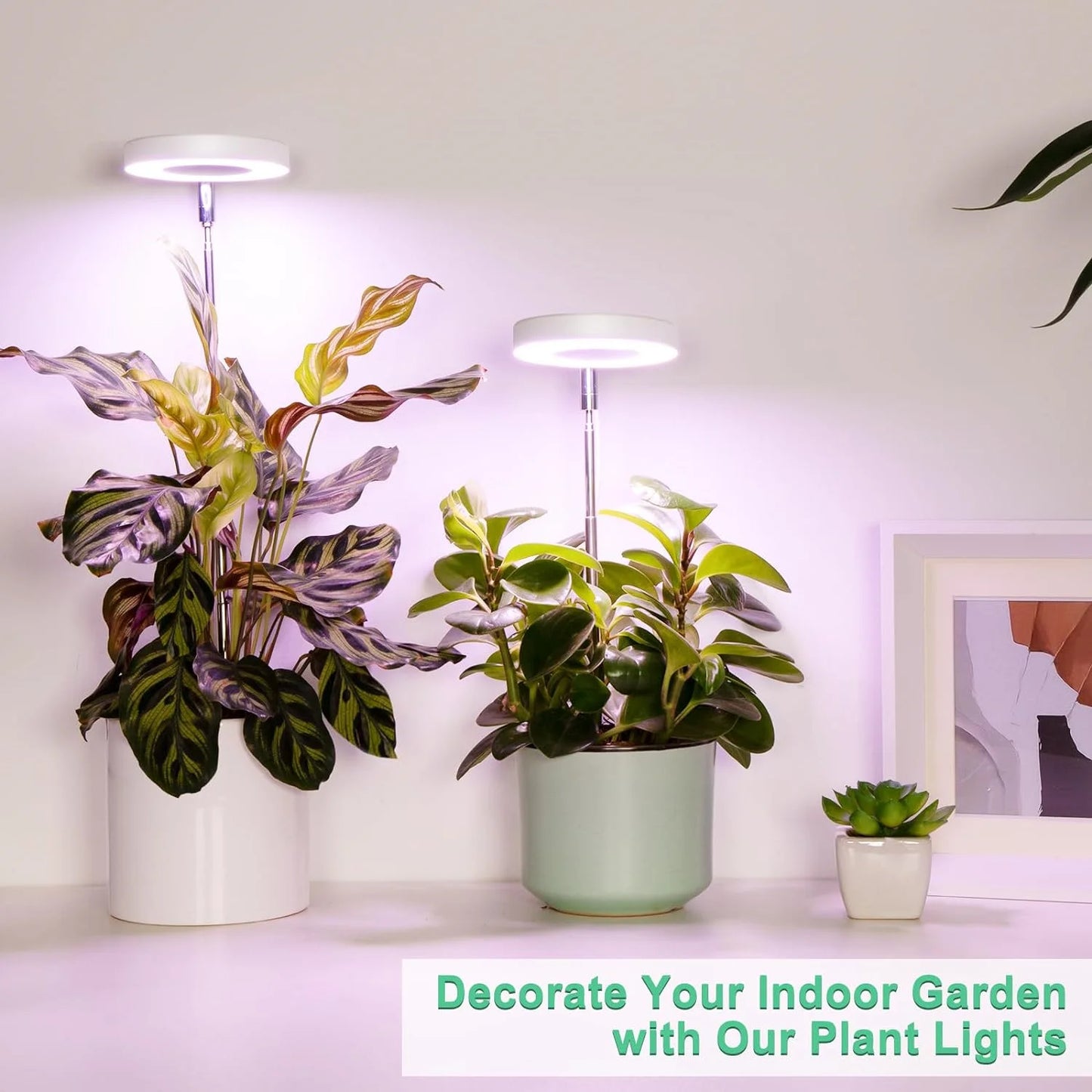 USB Angel Ring Grow Light Phytolamp for Plants with Control Full Spectrum Fitolamp Lights Home Flower Seedling Clip Phyto Lamp
