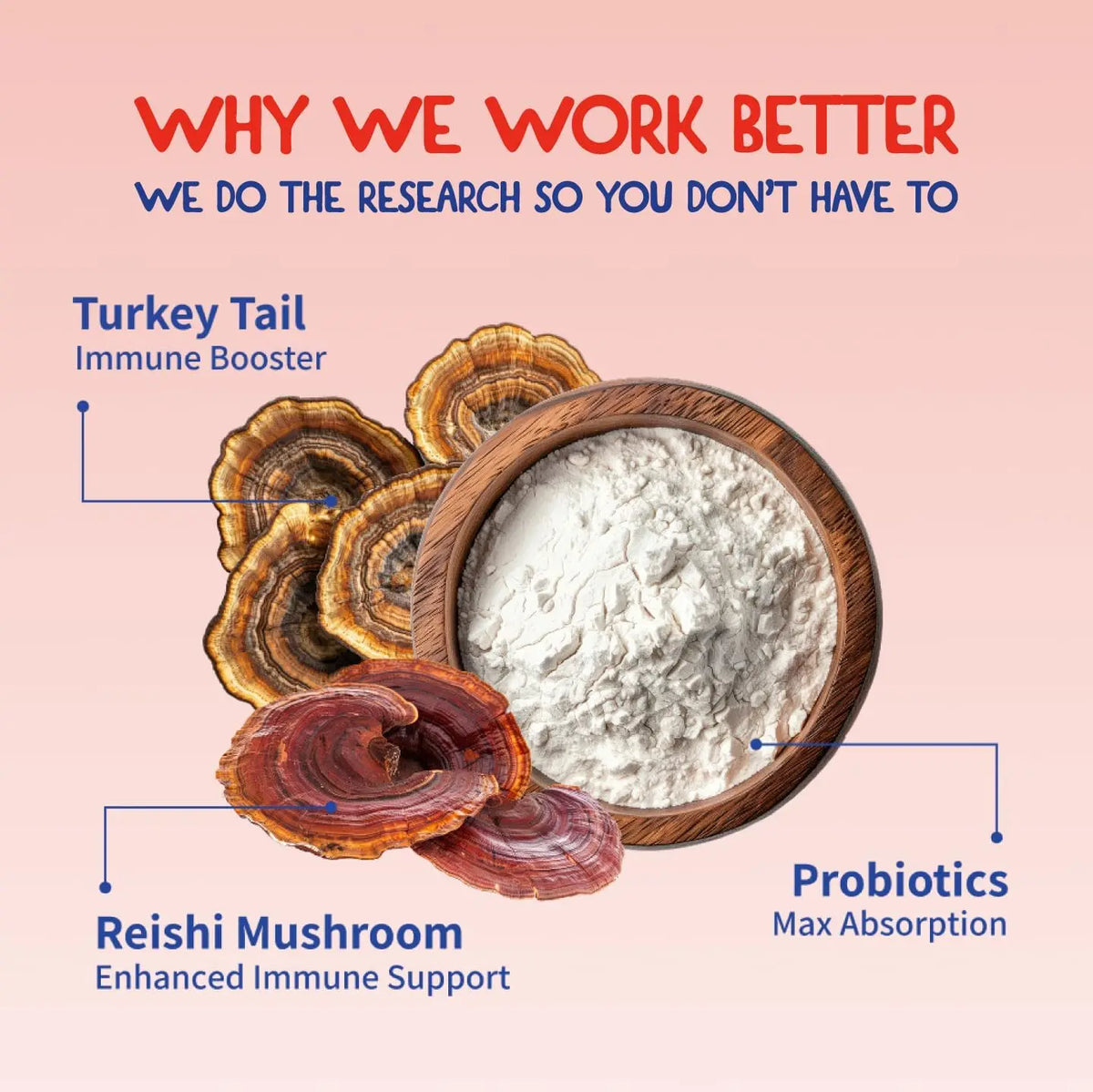 100g Turkey Tail Mushroom Supplements for Dogs Pet Turkey Tail Mushroom Supplement Support Premium Vitamins for Pet Health Care