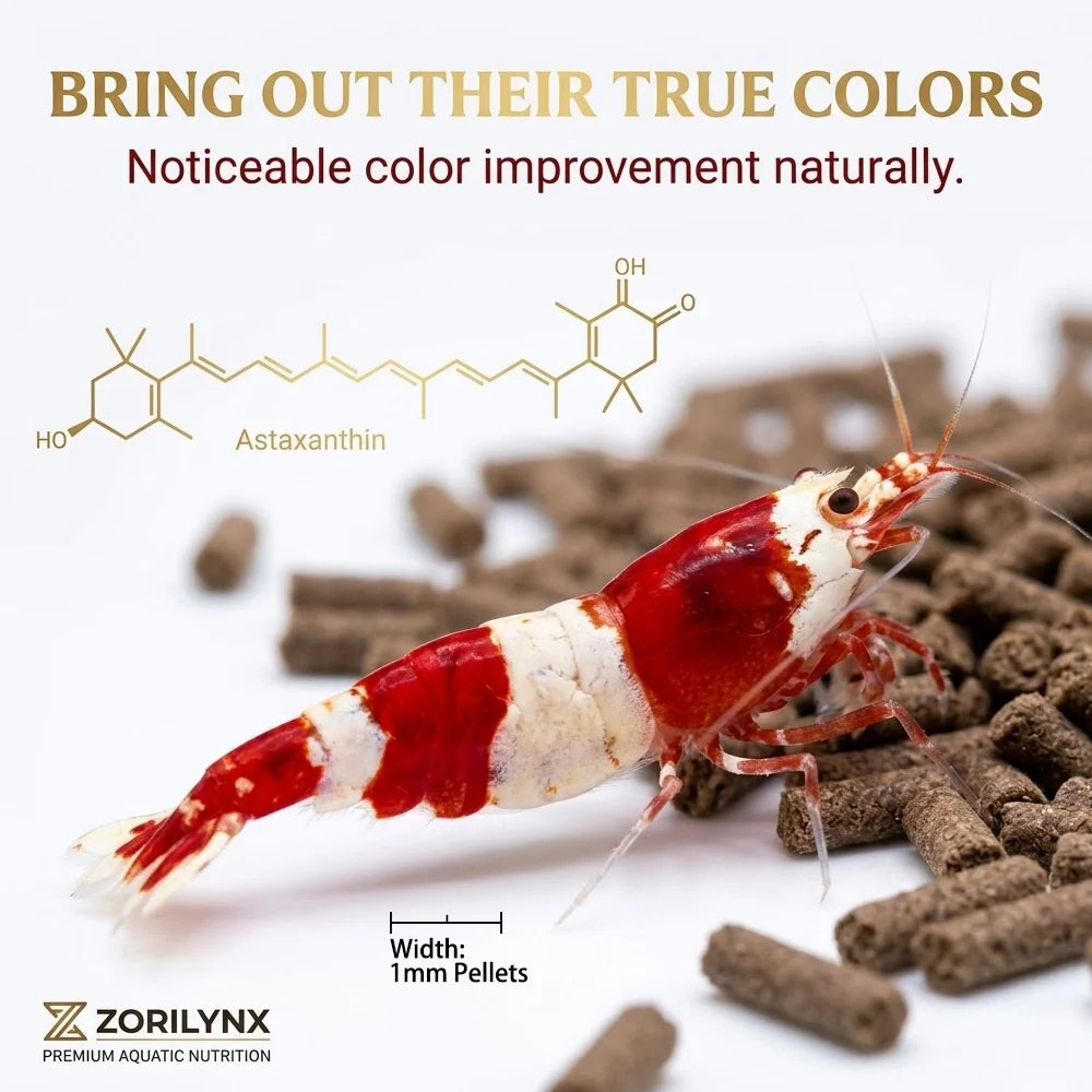 Nutritious Shrimp Feed Sinking Pellets High Protein Calcium Rich Food for Crystal Red Cherry Shrimp Aquarium Tank ZORILYNX