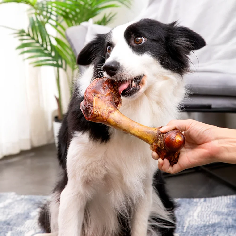 5.29-6.70oz/(150-190g)  6.30in/16cm Large Cow Bone, All Natural Ingredients, Natural Dog Treats, Healthy, Easily Digestible