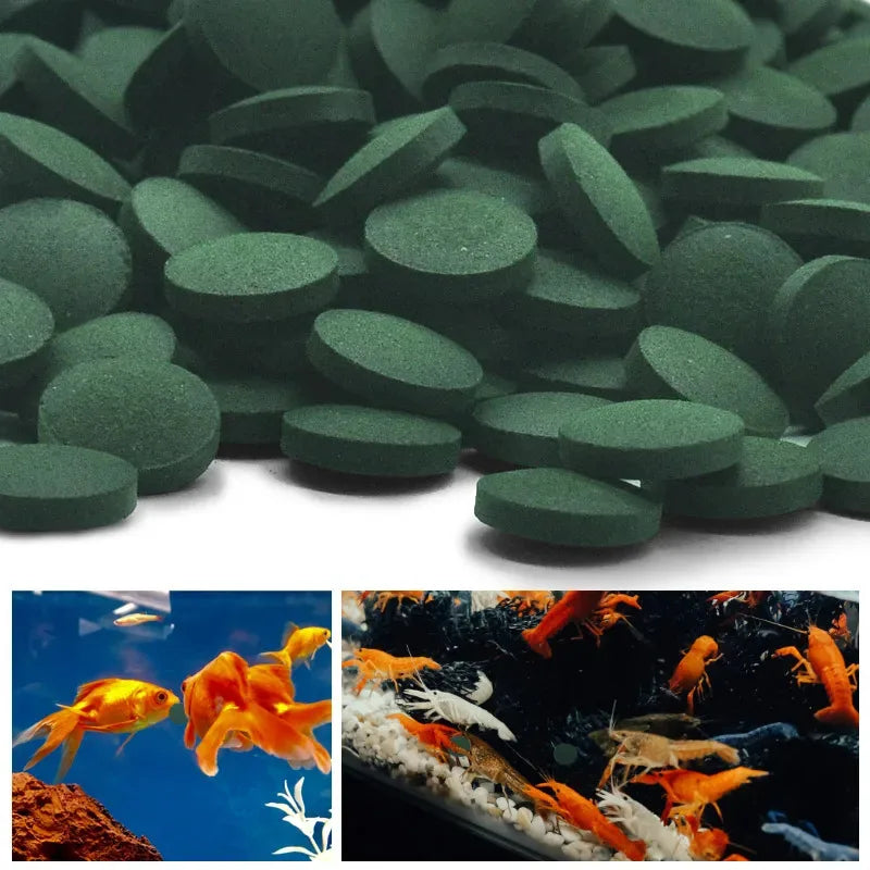 50-300Pcs High Purity Spirulina Tablets Spiral Seaweed Enrichment Favorite Pets Food Fish Crystal Red Shrimp Fish Food Aquarium