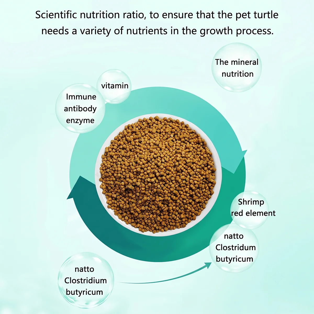 SIKEZHAN Turtle Food 50g Probiotic Pellets for Aquatic & Box Turtles Enhances Growth Vibrant Shell Health Nutrition