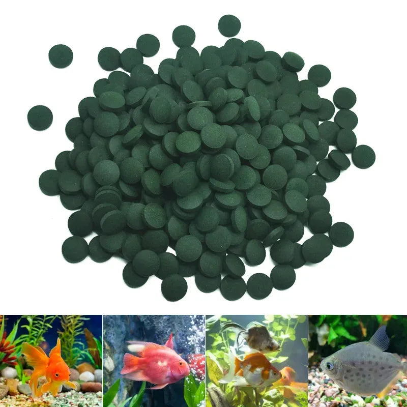 50-300Pcs High Purity Spirulina Tablets Spiral Seaweed Enrichment Favorite Pets Food Fish Crystal Red Shrimp Fish Food Aquarium