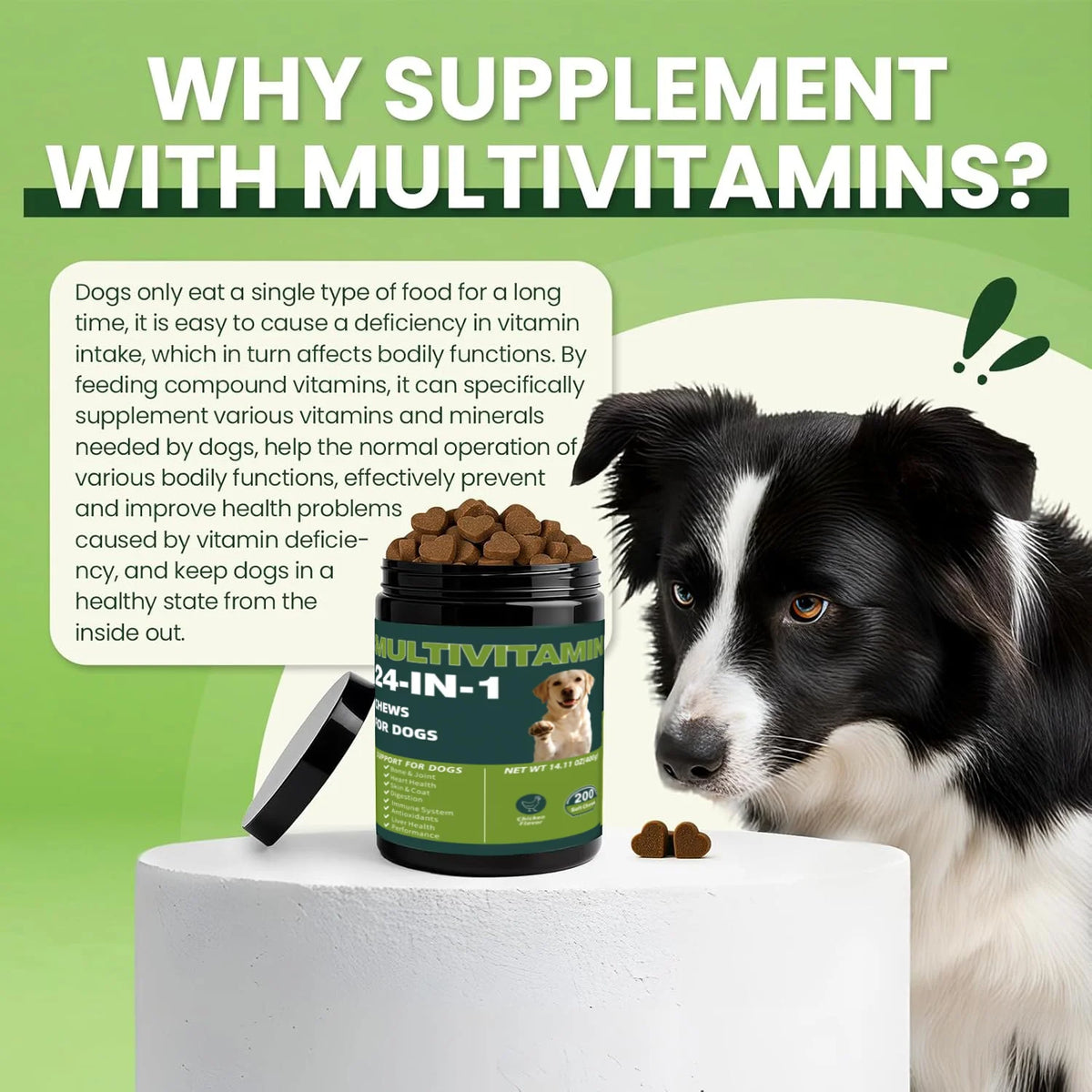 24-in-1 Dog Multivitamins Chew 200 Count Dog Vitamins Supplements with Glucosamine Chondroitin Probioticos Intestinales Omega-3