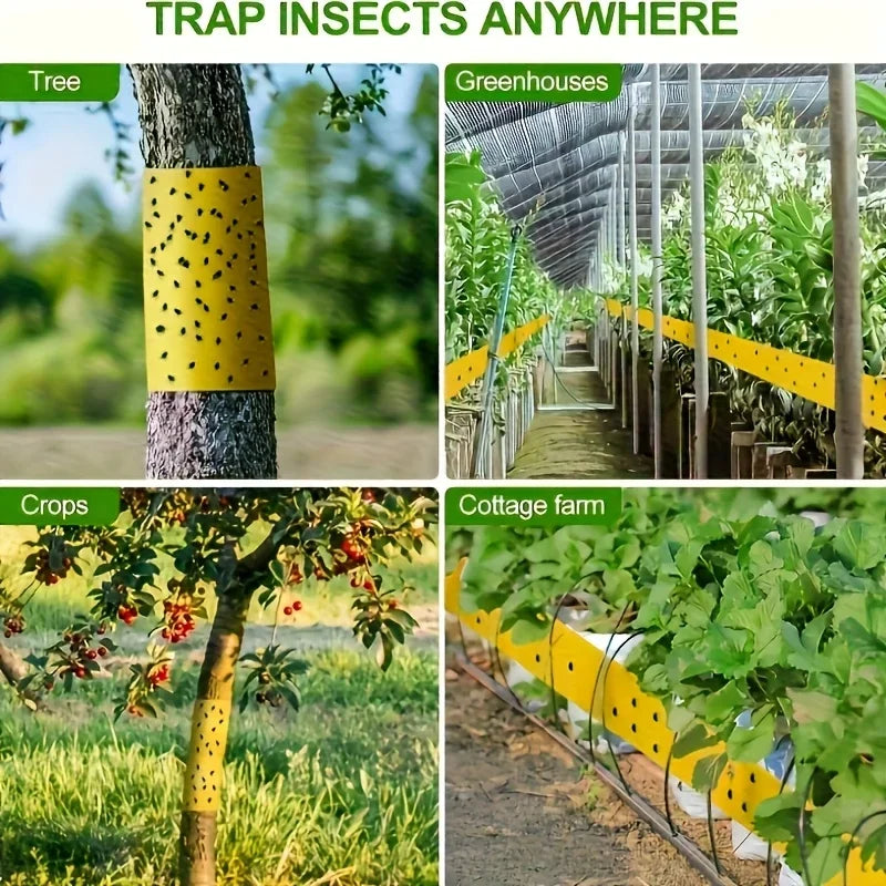 1 Roll 10M Yellow Double-Sided Sticky Insect Barrier Tape Anti-Climb Insect Trap Tape Non-Toxic for Ants Moths Aphids Whiteflies