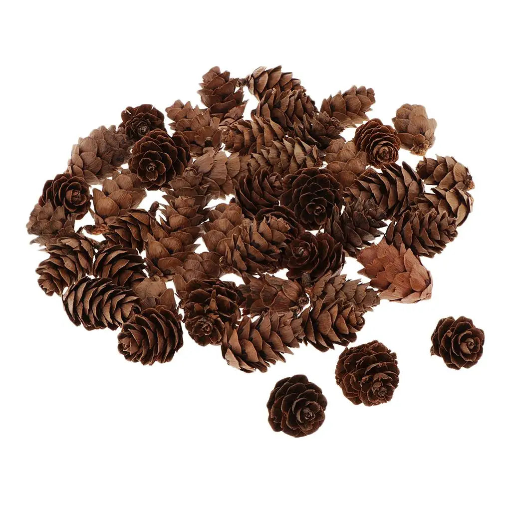 Natural Pine Cones DIY Bulk Mini Ornaments for Christmas Decorations Vase Filler and Table Accents