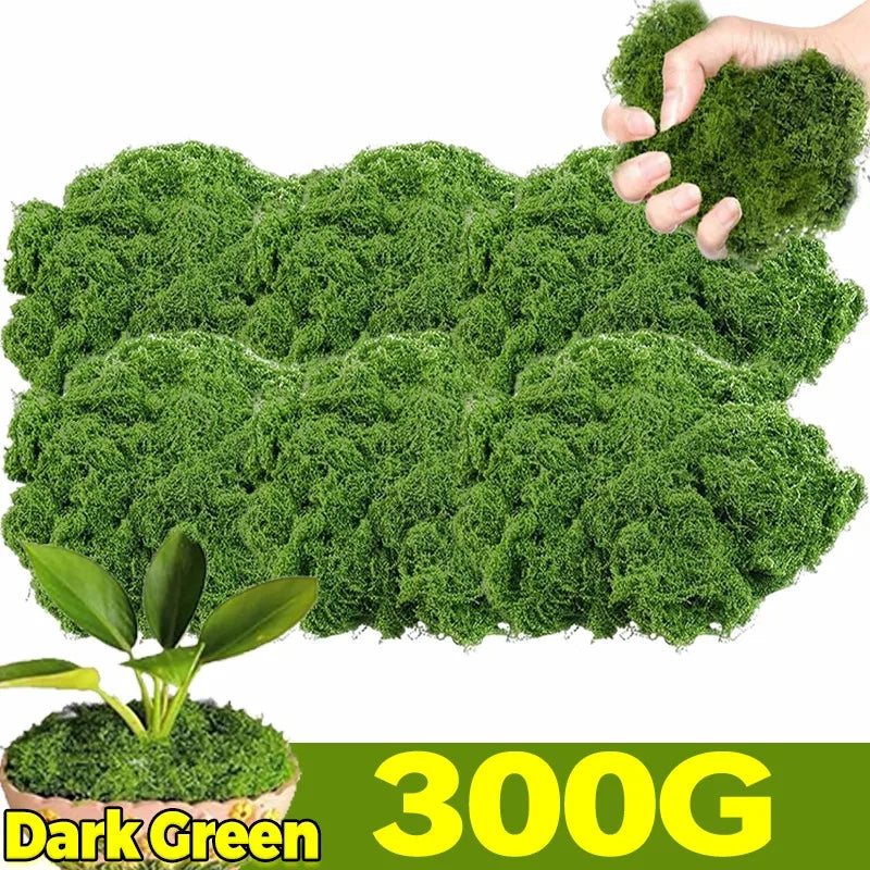Artificial Green Plants Eternal Life Moss DIY Craft Faux Preserved Plant Moss Lawn Mini Landscape Fake Grass Plant Potting Decor