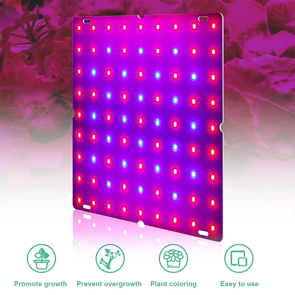 Full Spectrum LED Plant Lamp Quantum Board Hydroponic Plant Grow Lights Greenhouse Indoor Vegetables Floral Cultivation Lighting